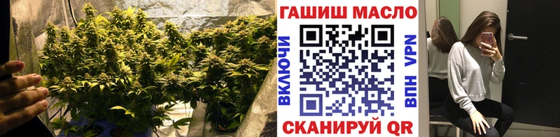 наркота  Гаврилов-Ям  ТГК Wax 