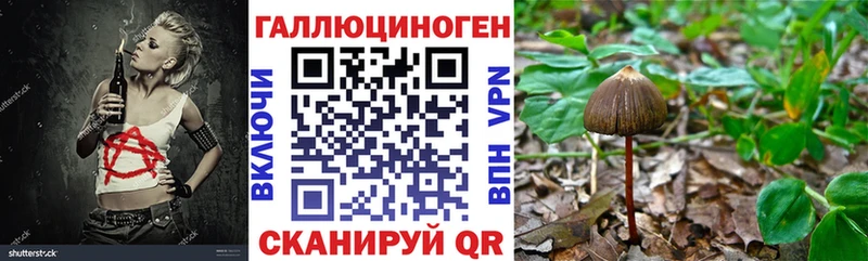 ОМГ ОМГ   купить   Гаврилов-Ям  Галлюциногенные грибы Psilocybe 